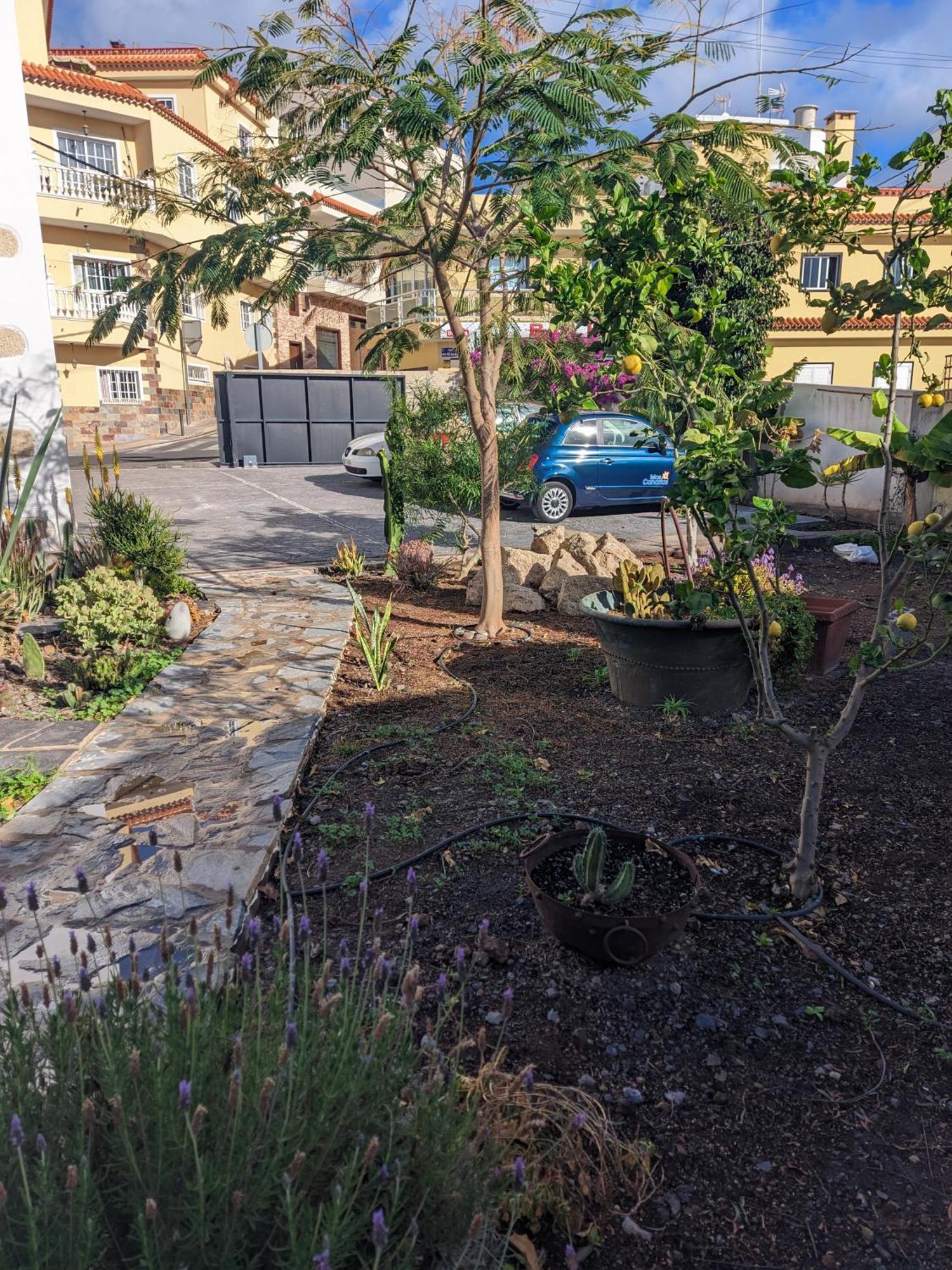 Casa Roberta Διαμέρισμα Arona  Εξωτερικό φωτογραφία