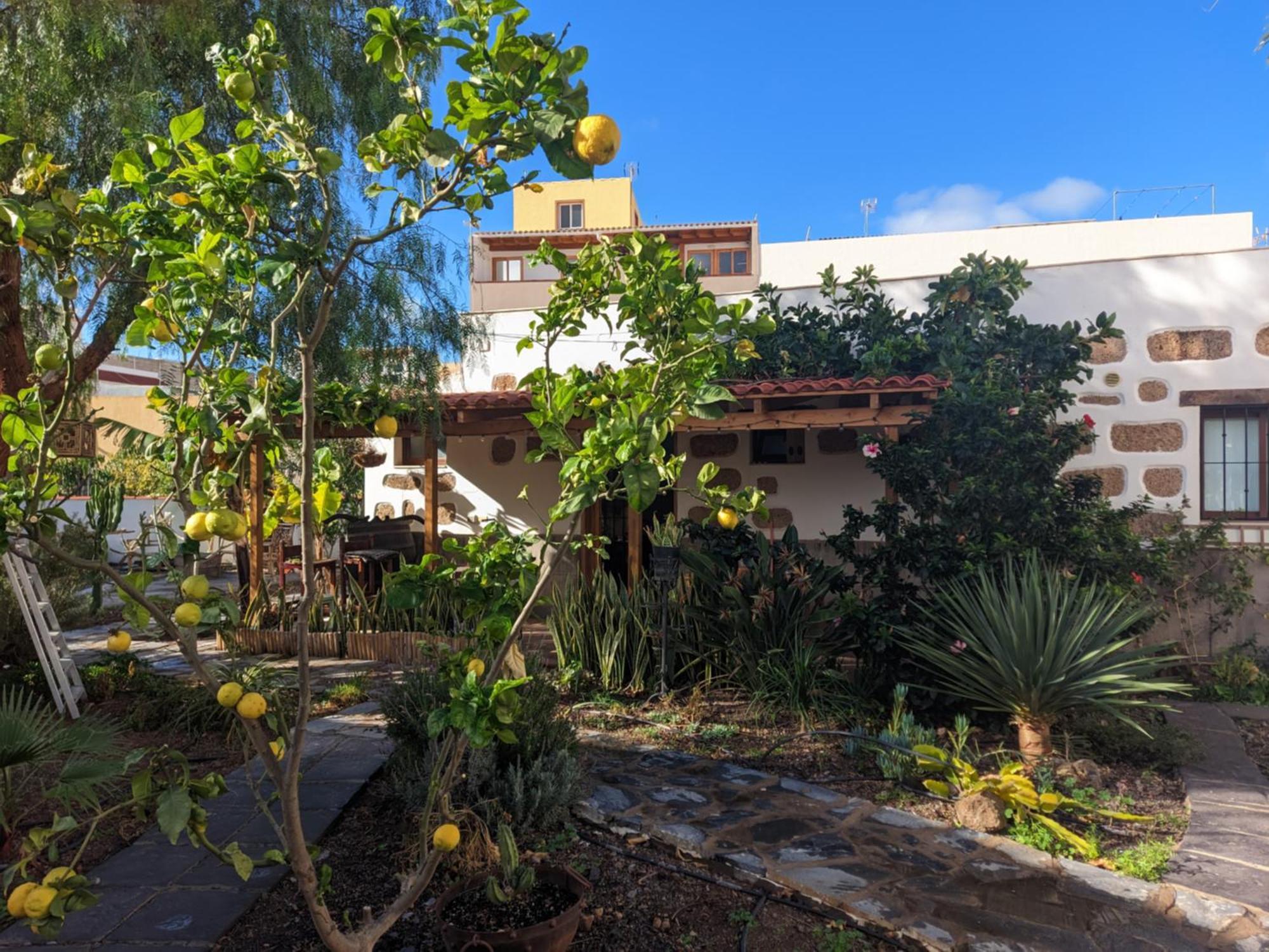 Casa Roberta Διαμέρισμα Arona  Εξωτερικό φωτογραφία
